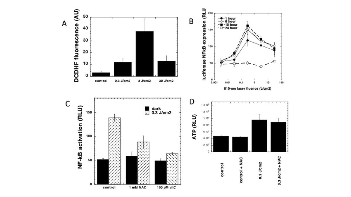 Enhancing Athletic Performance: The Role of Red and Near-Infrared Light Therapy - Lumaflex