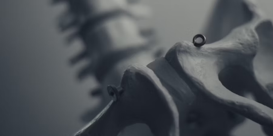 Stem Cells, Scaffold, and 630nm Photobiomodulation in Bone Regeneration