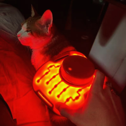 How long does red light therapy take to work for cats