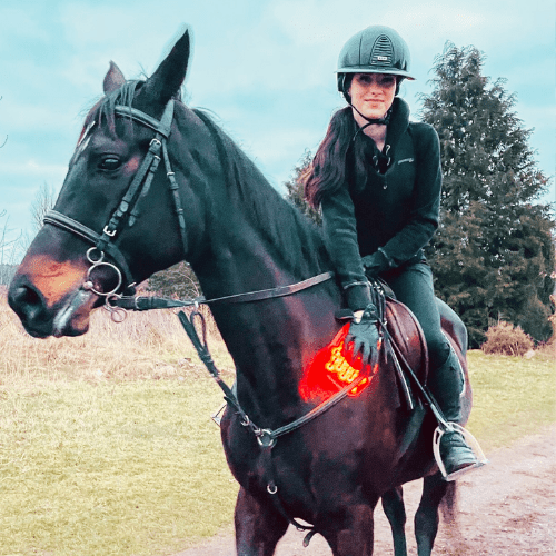 Blue Light vs Red Light Therapy for Horses: Benefits & Key Differences - Lumaflex