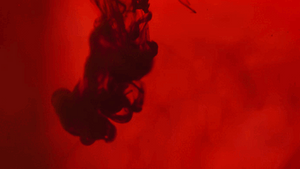 Blog banner